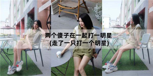 两个傻子在一起打一明星(走了一只打一个明星)