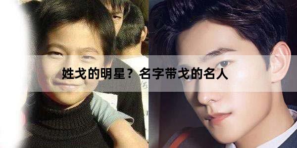 姓戈的明星？名字带戈的名人