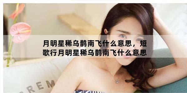 月明星稀乌鹊南飞什么意思，短歌行月明星稀乌鹊南飞什么意思