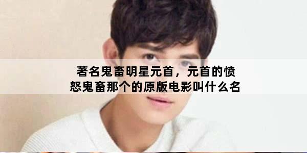 著名鬼畜明星元首，元首的愤怒鬼畜那个的原版电影叫什么名