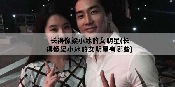 长得像梁小冰的女明星(长得像梁小冰的女明星有哪些)