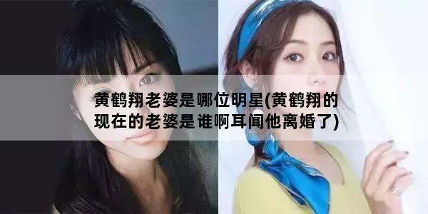 黄鹤翔老婆是哪位明星(黄鹤翔的现在的老婆是谁啊耳闻他离婚了)