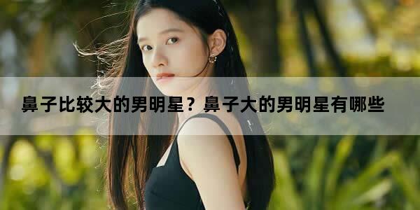 鼻子比较大的男明星？鼻子大的男明星有哪些
